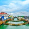 Panama Canal Diamond Painting