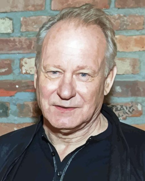 Stellan Skarsgard Diamond Painting