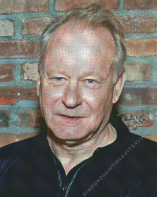 Stellan Skarsgard Diamond Painting