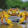 Yellow Crab Diamond Painting