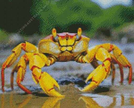 Yellow Crab Diamond Painting