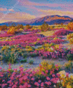 Anza Borrego Diamond Painting