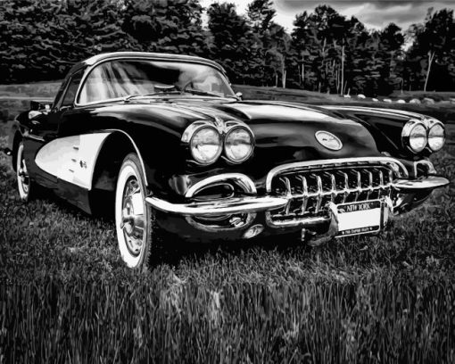 Black And White 1960 Corvette Diamond Painting