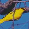 Golden Oriole Diamond Painting