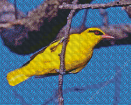 Golden Oriole Diamond Painting