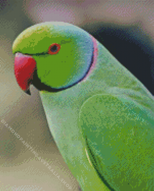 Indian Ringneck Diamond Painting