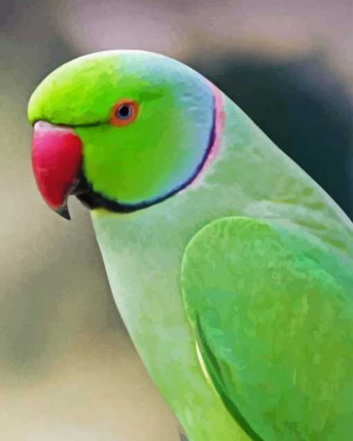 Indian Ringneck Diamond Painting