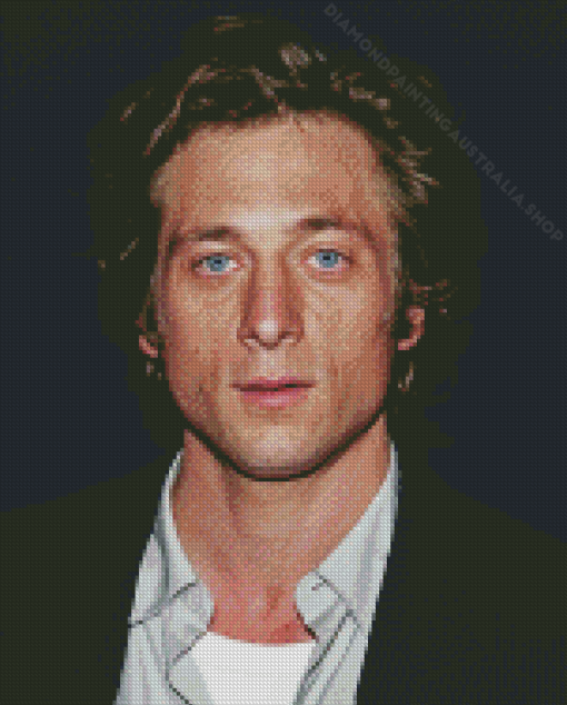 Jeremy Allen Diamond Painting