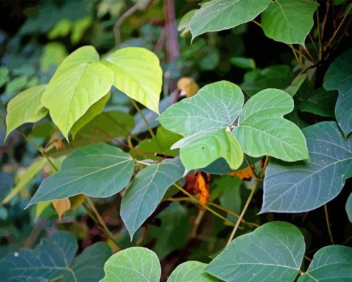 Kudzu Diamond Painting