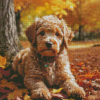 Labradoodle Puppy Dog Diamond Painting