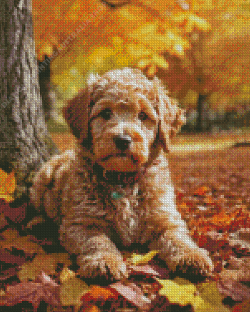 Labradoodle Puppy Dog Diamond Painting