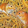 Mongolian Gerbils Diamond Painting