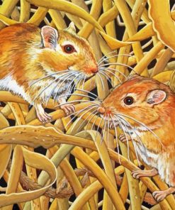 Mongolian Gerbils Diamond Painting