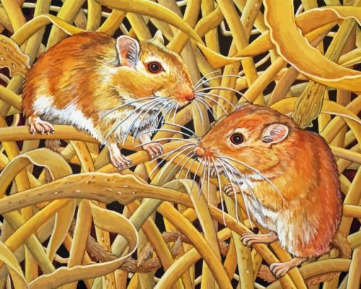 Mongolian Gerbils Diamond Painting