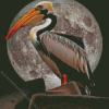 Moonlight Pelican Bird Diamond Painting