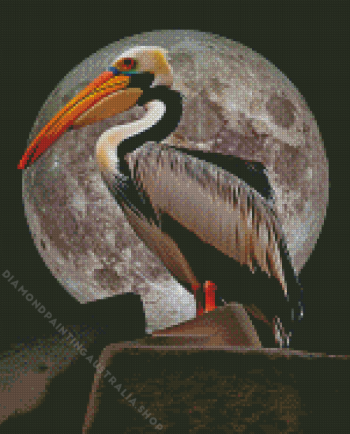 Moonlight Pelican Bird Diamond Painting