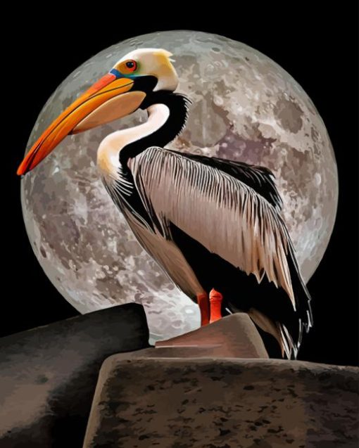 Moonlight Pelican Bird Diamond Painting