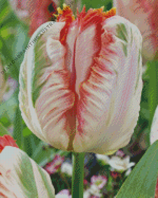 Parrot Tulips Flowers Diamond Painting