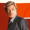 Patrick Jane Diamond Painting