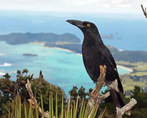 Pied Currawong Diamond Painting