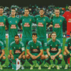 Rapid Wien FC Team Diamond Painting