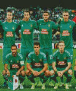 Rapid Wien FC Team Diamond Painting