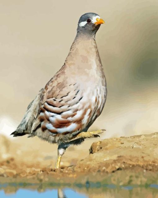 Sand Partridge Bird Diamond Painting