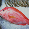 Snapper Fish Diamond Painting