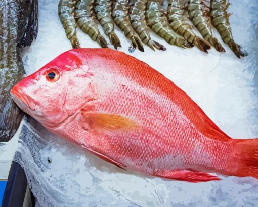 Snapper Fish Diamond Painting