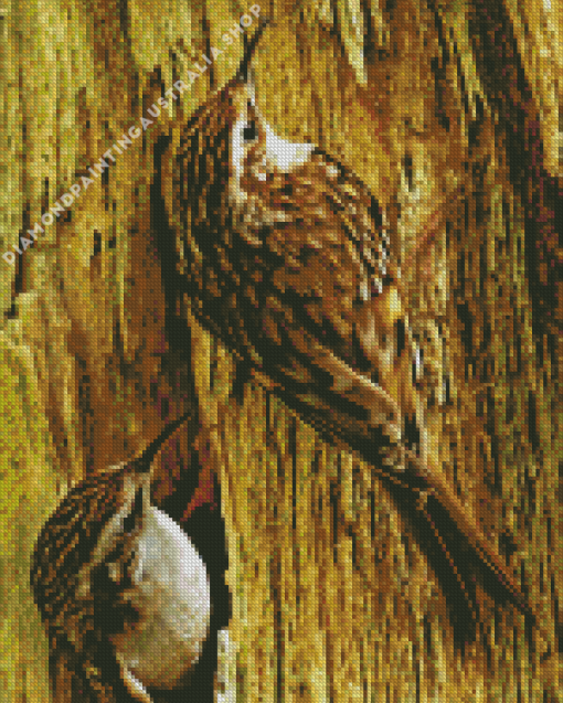 Treecreeper Birds Diamond Painting