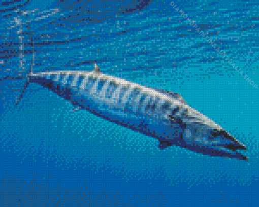 Wahoo Diamond Painting