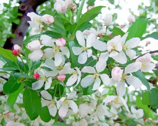 White Crabapple Diamond Painting