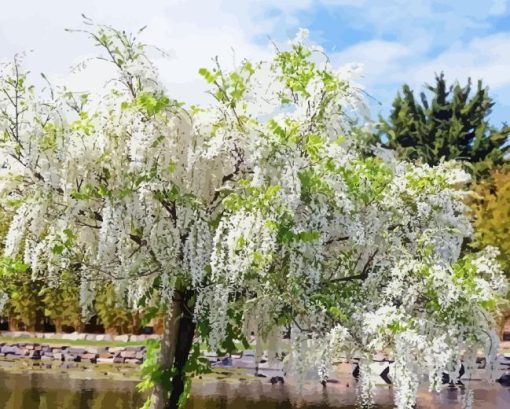 White Wisteria Diamond Painting