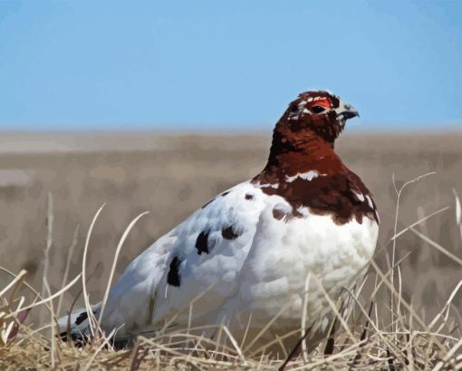 Willow Ptarmigan Diamond Painting