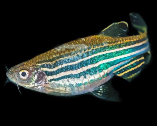 Zebrafish Diamond Painting