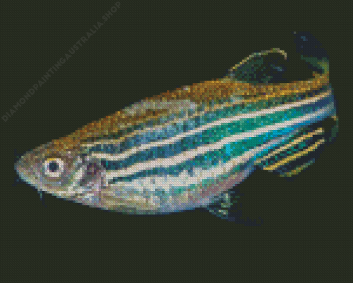 Zebrafish Diamond Painting