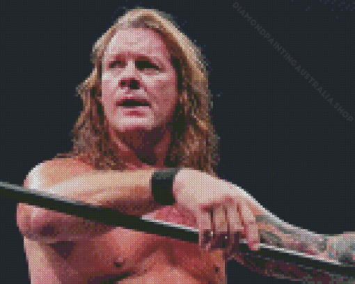 Chris Jericho Diamond Painting