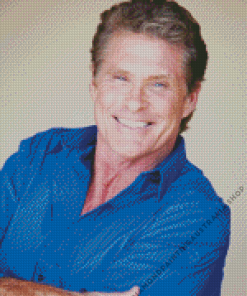 David Hasselhoff Diamond Painting