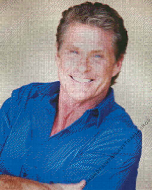 David Hasselhoff Diamond Painting