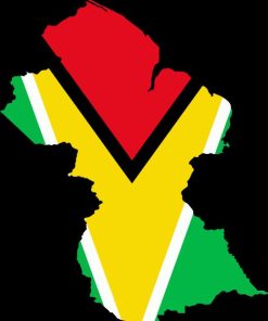 Guyana Flag Diamond Painting