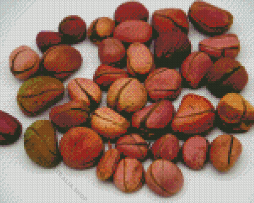 Kola Nut Diamond Painting