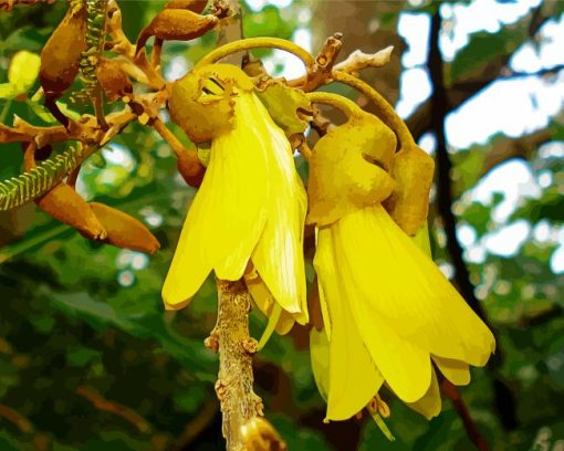 Kowhai Diamond Painting