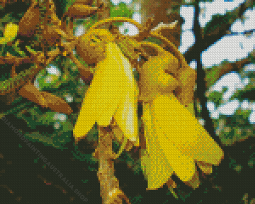 Kowhai Diamond Painting