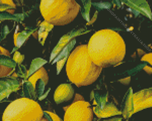 Lemon Plant Diamond Painting