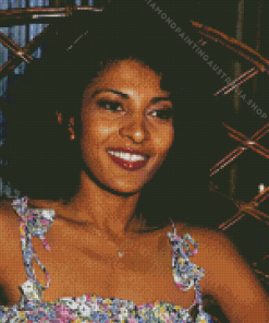 Pam Grier Diamond Painting