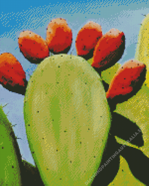 Prickly Pear Diamond Painting